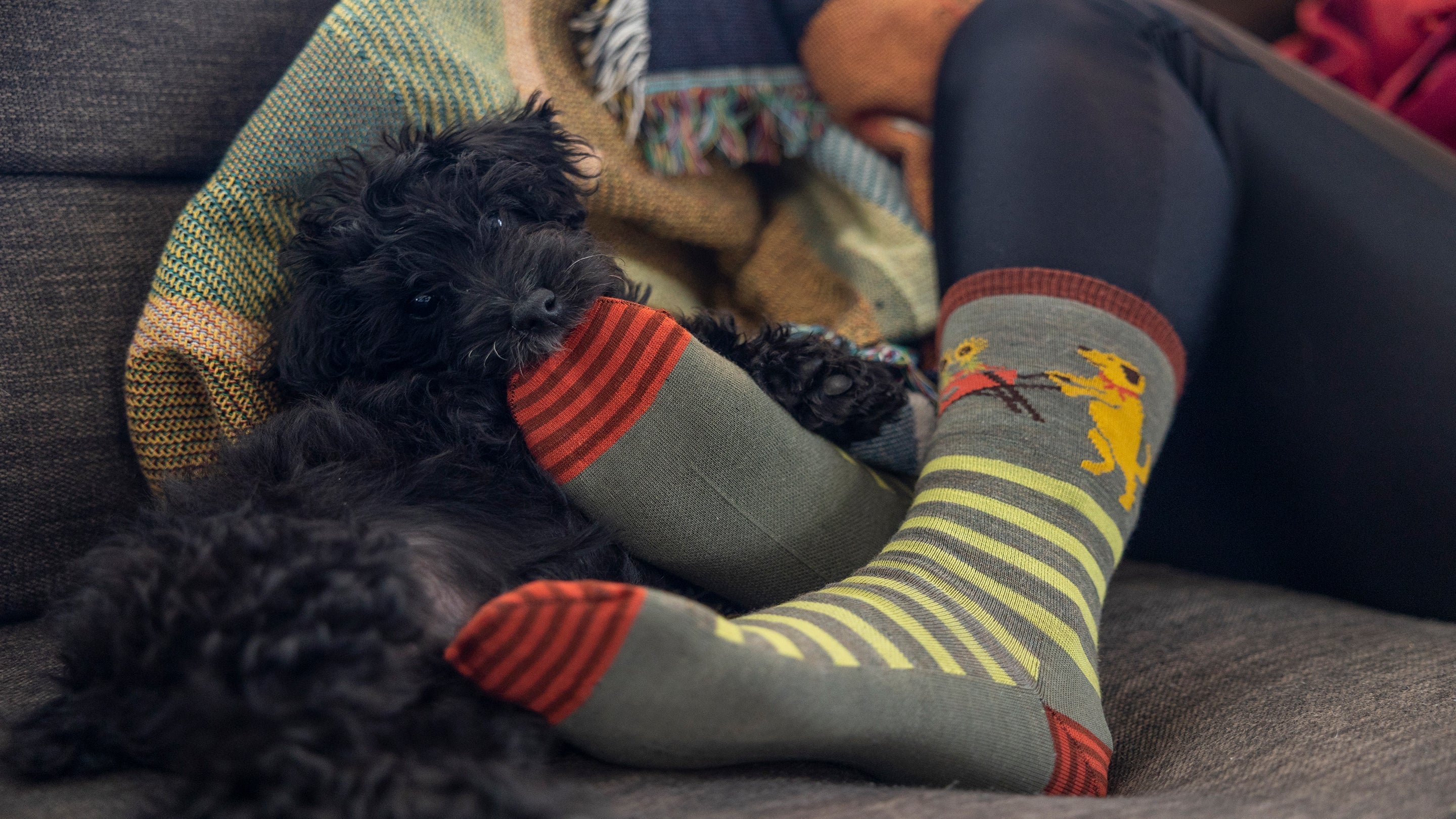 Crew Socks