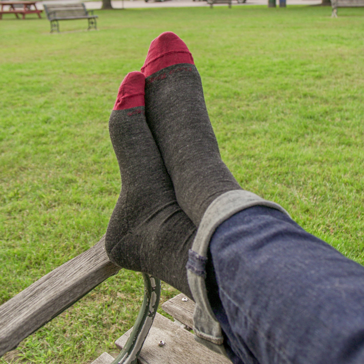 Men's Solid Crew Lightweight Lifestyle Socks