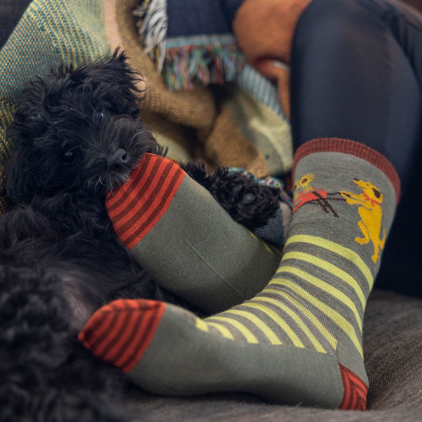 Women's Animal Haus Crew Lightweight Lifestyle Socks