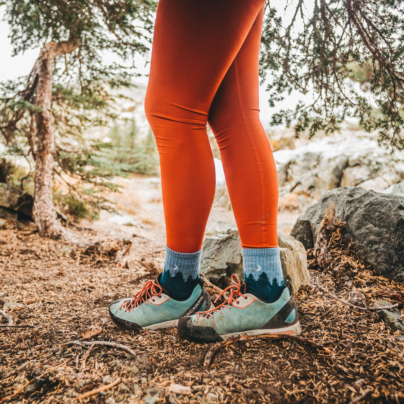 Women's Treeline Micro Crew Midweight Hiking Socks