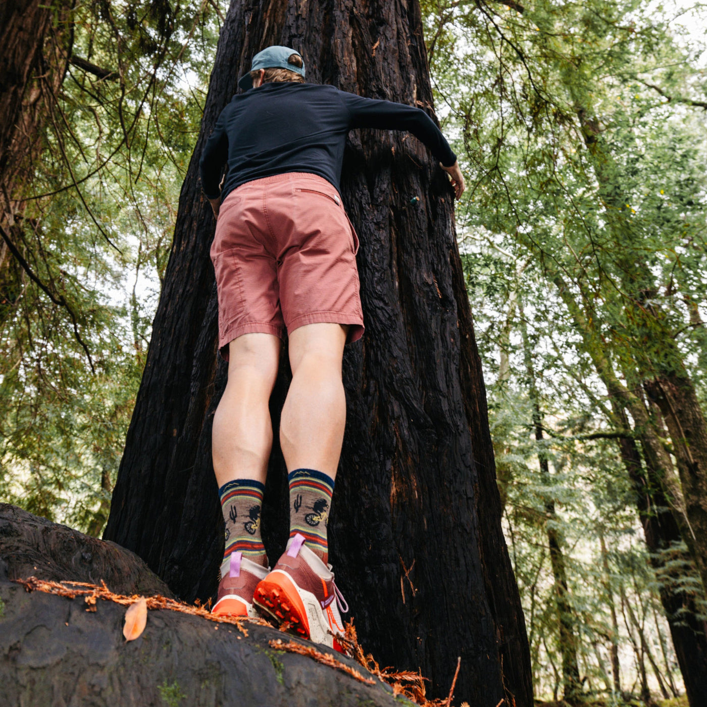 Men's Willoughby Micro Crew Lightweight Hiking Socks