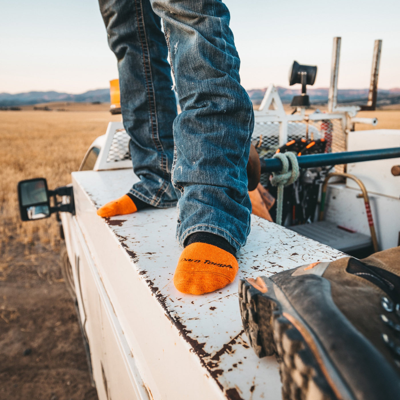 Men's Steely Boot Midweight Work Socks