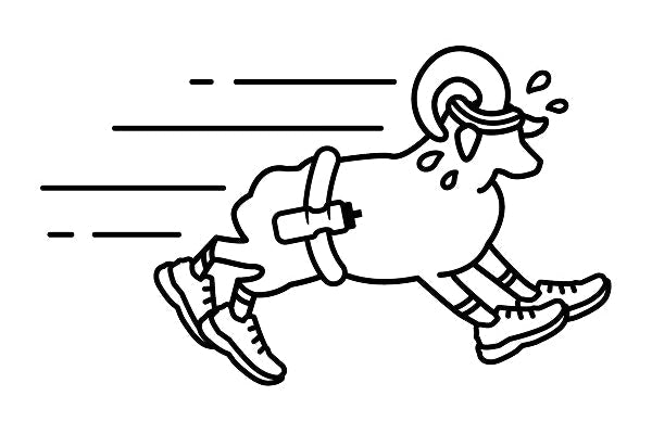 A sheep wearing running socks, sneakers, and a water belt
